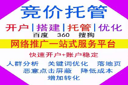 谷歌竞价案例：成功案例分析及启示